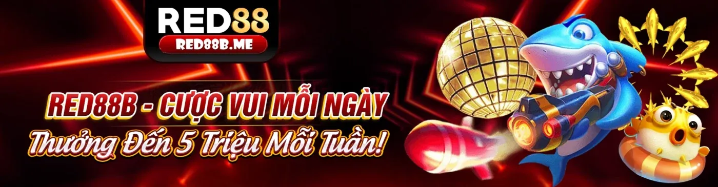 Đấu trường đá gà trực tuyến winvnd chính thức sôi động